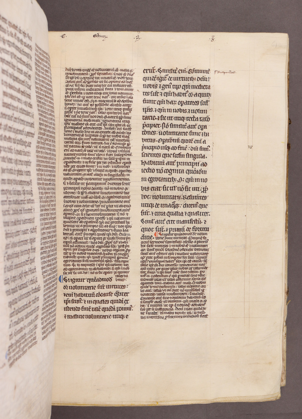 Folio 61 recto